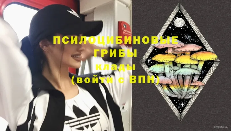 Псилоцибиновые грибы Magic Shrooms  Заволжск 